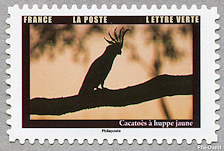 Image du timbre Cacatoès à huppe jaune