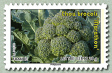 Chou brocoli