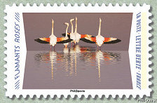 Image du timbre Flamants roses