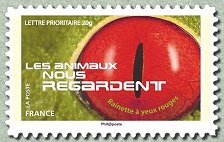 Image du timbre Rainette à yeux rouges