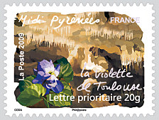 Midi-Pyrénées - La Violette de Toulouse
