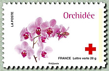Image du timbre Orchidée