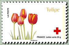 Image du timbre Tulipe