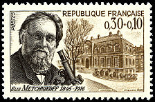 Image du timbre Élie Metchnikoff  1845-1916