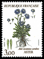 Image du timbre Aster - aster montanus cœruleus