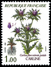 Image du timbre Carline - Carlina flore rubente