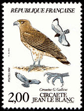 Image du timbre Circaète Jean le Blanc - Circaetus G. Gallicus