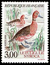 Image du timbre Le Fuligule NyrocaAythya Nyroca