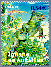 Image du timbre Iguane des Antilles