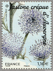 Image du timbre Jasione crépue (Jasione crispa subsp. arvernensis)