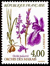 Image du timbre Orchidée des marais ou Orchis palustris