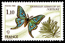 Papillon Graellsia Isabellae