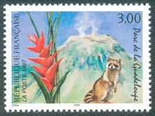 Parc de la Guadeloupe<BR>Le volcan de la soufrière, le raton laveur et le balisier