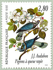 Image du timbre Pigeons à queue rayée - Columba fasciata