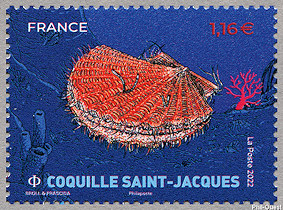 Image du timbre Coquille Saint-Jacques