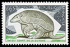Image du timbre Tatou géant de Guyane