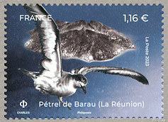 Image du timbre Pétrel de Barau (La Réunion)