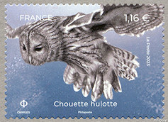 Image du timbre Chouette hulotte