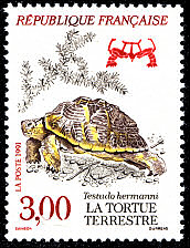 Image du timbre La tortue terrestre - Testudo hermanni