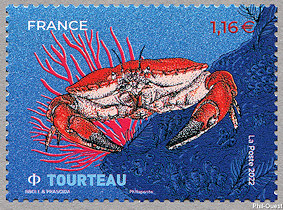 Image du timbre Tourteau