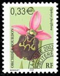 Orchidée bourdon<BR>Ophrys fuciflora 0,33 €