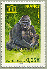 Gorille - Afrique