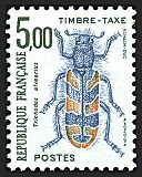 Trichodes alvearius ou Clairon des ruches